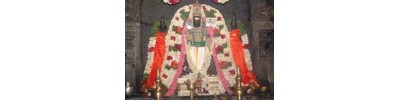 இரத்தினகிரி வேலூர் - தமிழ்நாடு